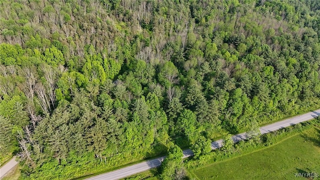 00 Lamont Rd, Angelica, NY 14709 - photo 4