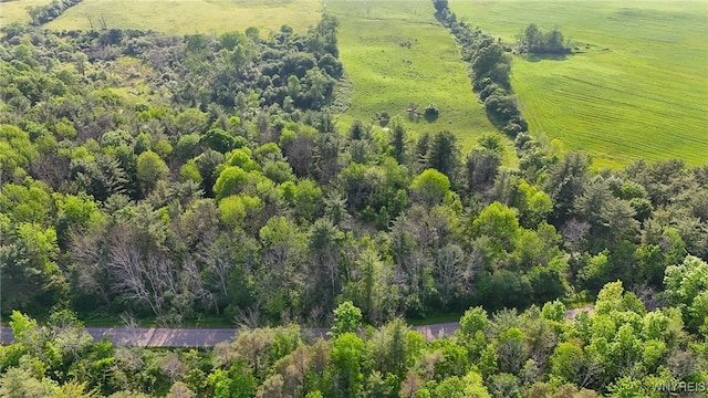 00 Lamont Rd, Angelica, NY 14709 - photo 5