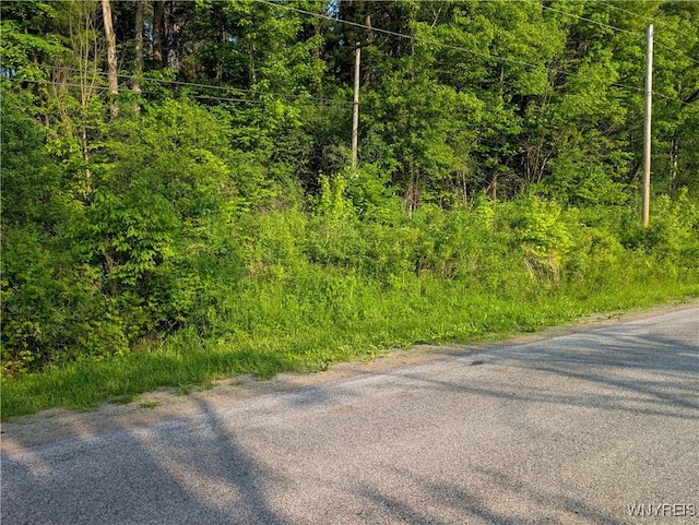 00 Lamont Rd, Angelica, NY 14709 - photo 7