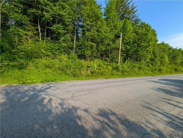 00 Lamont Rd, Angelica, NY 14709 - photo 8