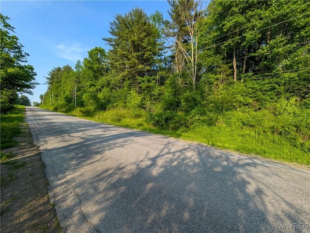 00 Lamont Rd, Angelica, NY 14709 - photo 10