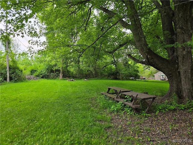 911 Shoreham St, Carlton, NY 14571 - view of grassy yard