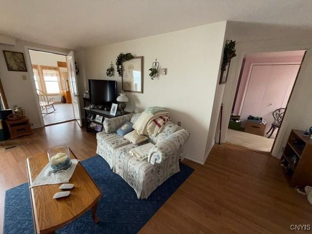 27217 Three Mile Point Rd, Lyme, NY 13622 - living room featuring wood finished floors