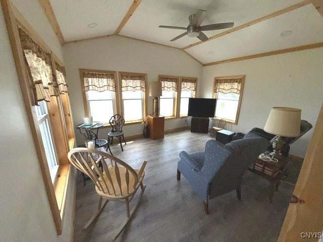 27217 Three Mile Point Rd, Lyme, NY 13622 - living room with lofted ceiling, ceiling fan, and wood finished floors