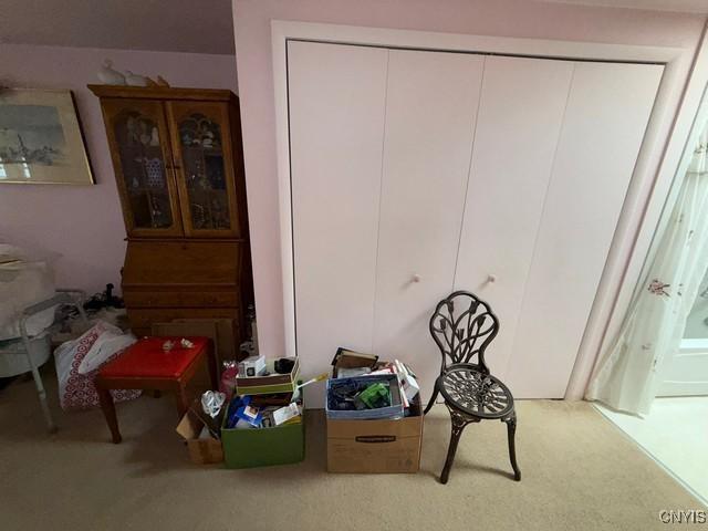 27217 Three Mile Point Rd, Lyme, NY 13622 - living area with carpet floors