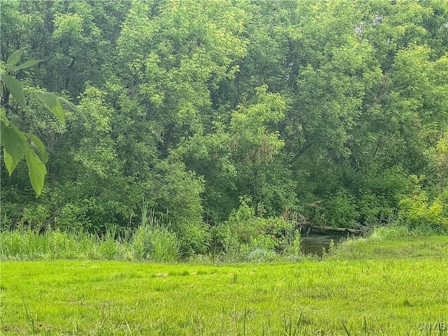 8430 Willow St, Le Ray, NY 13637 - view of woods
