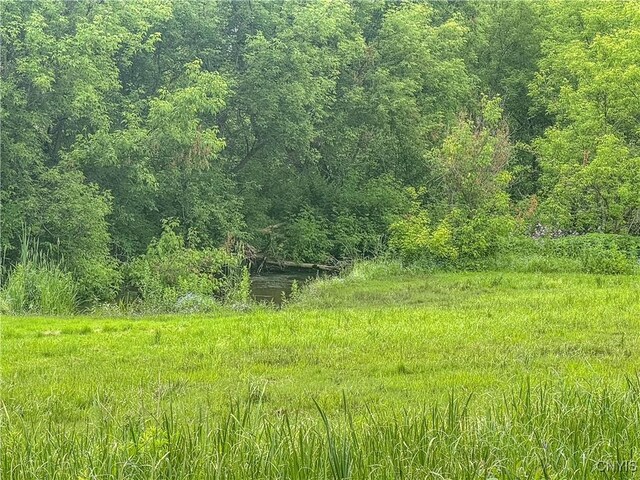8430 Willow St, Le Ray, NY 13637 - view of nature