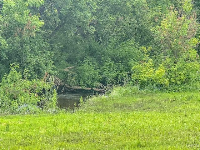 8430 Willow St, Le Ray, NY 13637 - view of woods
