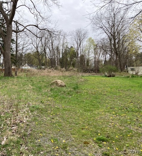129 Westmoreland St, Whitestown, NY 13492 - photo 1