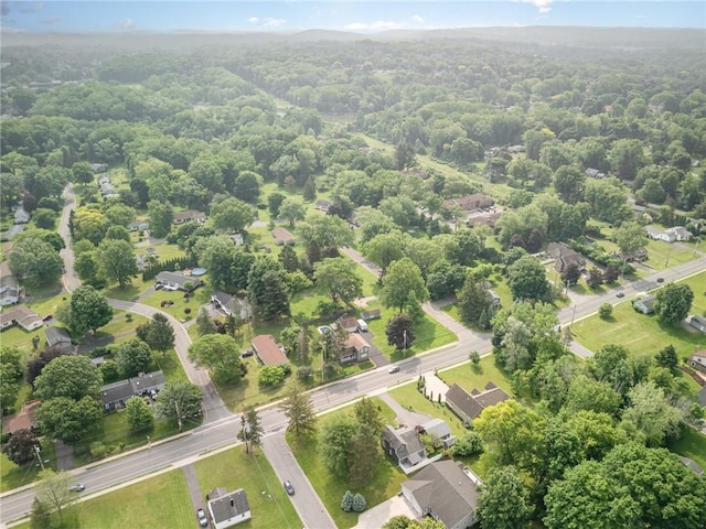 351 Jefferson Ave, Perinton, NY 14450 - view of property location with a heavily wooded area