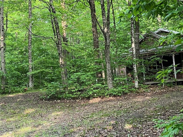 LOT3 Brook Trout Ln, Redfield, NY 13437