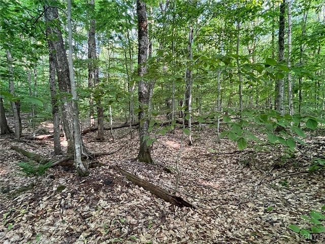 LOT3 Brook Trout Ln, Redfield, NY 13437