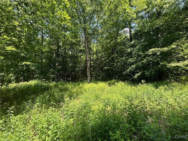 LOT3 Brook Trout Ln, Redfield, NY 13437