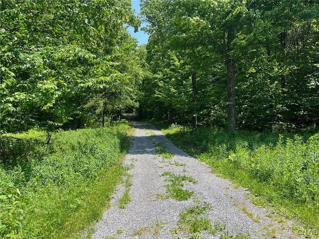 LOT3 Brook Trout Ln, Redfield, NY 13437