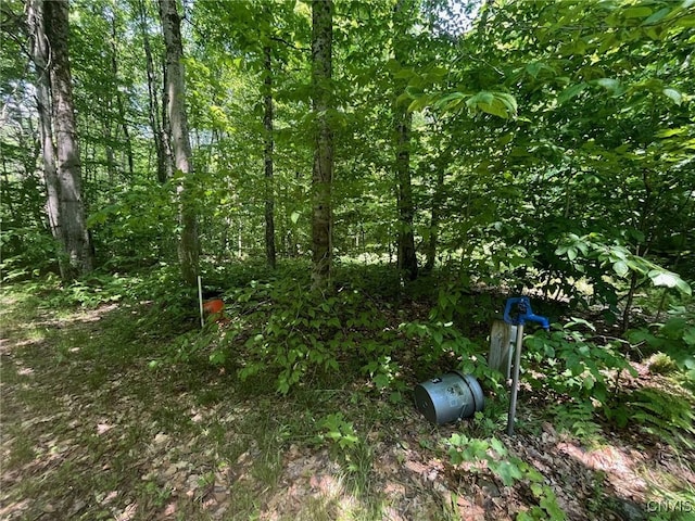 LOT3 Brook Trout Ln, Redfield, NY 13437
