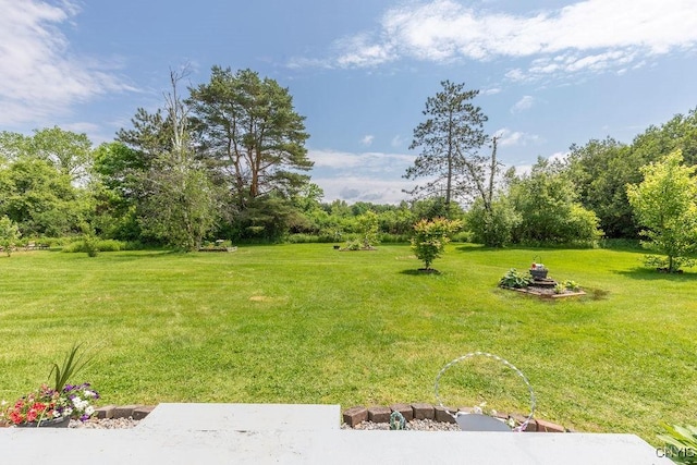 7118 Glass Factory Rd, Trenton, NY 13354 - view of grassy yard