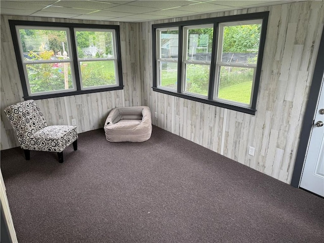 202 Klein St, Rochester, NY 14621 - view of sunroom