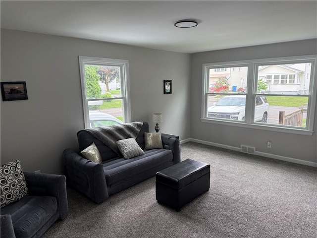 202 Klein St, Rochester, NY 14621 - living area featuring carpet and baseboards