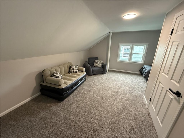 202 Klein St, Rochester, NY 14621 - sitting room with carpet and vaulted ceiling