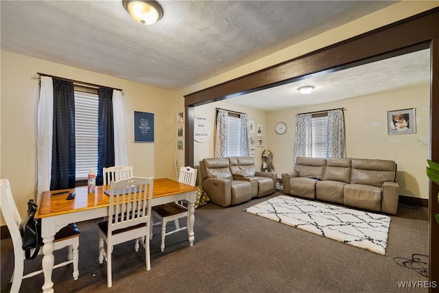 2320 Niagara St, Niagara Falls, NY 14303 - view of carpeted living area
