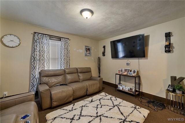 2320 Niagara St, Niagara Falls, NY 14303 - living area featuring carpet flooring and a textured ceiling