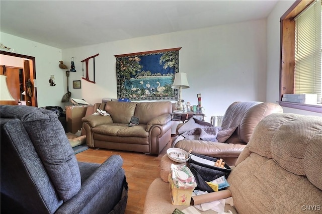 797 Hicks Rd, Warren, NY 13407 - living area featuring wood finished floors