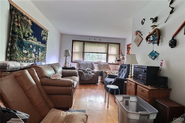 797 Hicks Rd, Warren, NY 13407 - living area featuring light wood-style floors