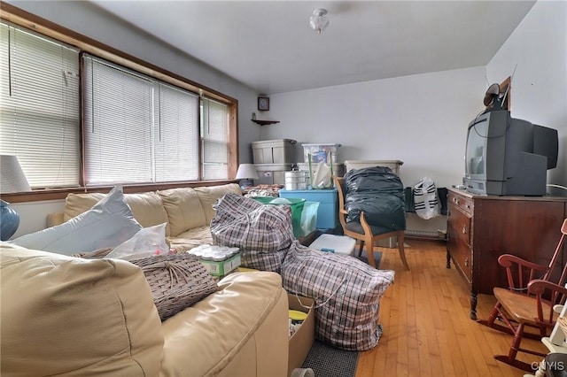 797 Hicks Rd, Warren, NY 13407 - living area featuring light wood-type flooring
