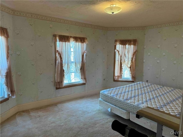 1902 E River Rd, Olean-Town, NY 14760 - bedroom featuring carpet floors