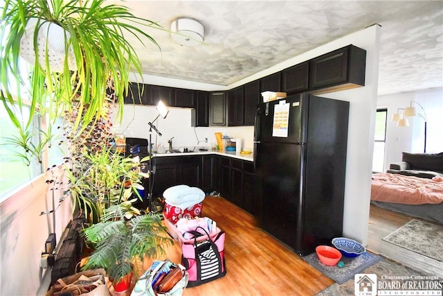 46 Pardee Ave, Jamestown, NY 14701 - kitchen featuring freestanding refrigerator, light wood-type flooring, light countertops, open floor plan, and dark cabinets