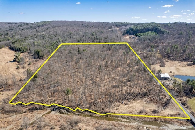Beers Hill Rd, Big Flats, NY 14845