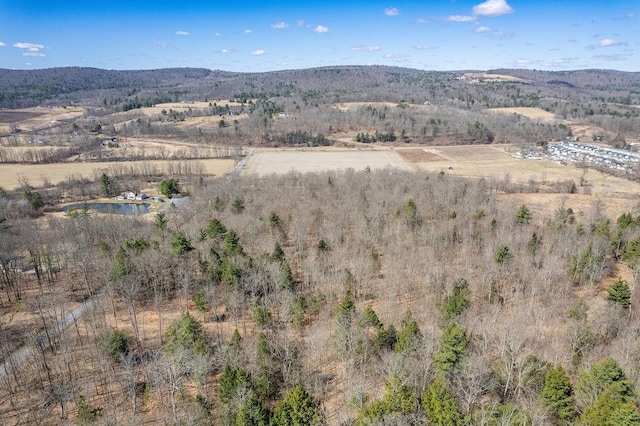 Beers Hill Rd, Big Flats, NY 14845