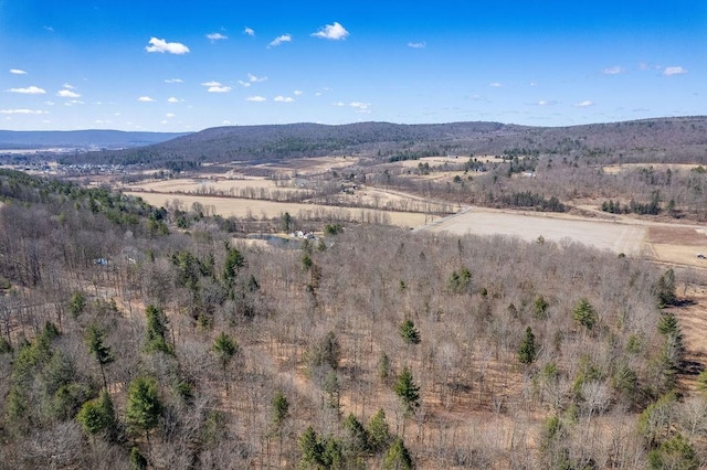 Beers Hill Rd, Big Flats, NY 14845