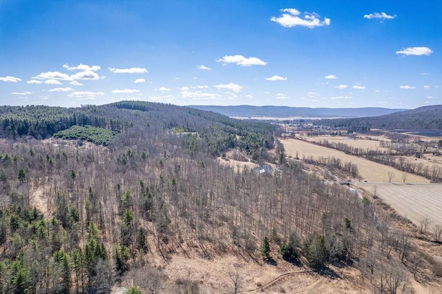 Beers Hill Rd, Big Flats, NY 14845