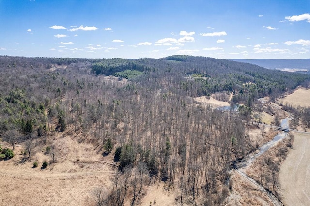 Beers Hill Rd, Big Flats, NY 14845