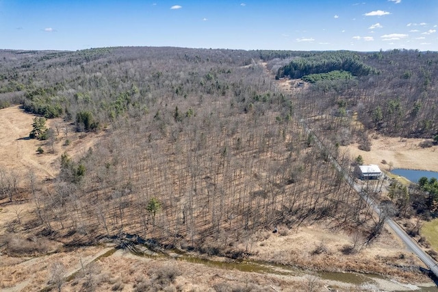 Beers Hill Rd, Big Flats, NY 14845
