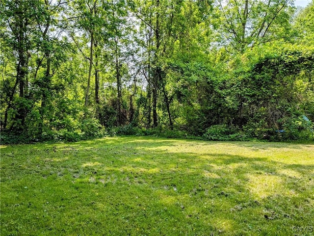 6 Cotty Dr, Dewitt, NY 13057 - view of grassy yard with a forest view