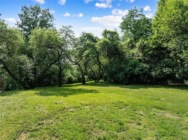 6730 Van Buren Rd, Camillus, NY 13164 - photo 50