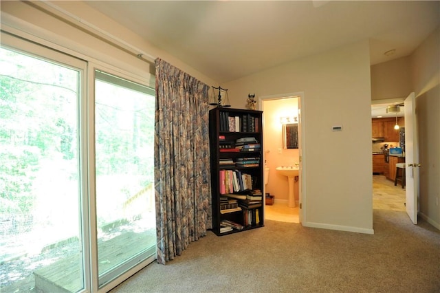 106 Weston Ln, Erwin, NY 14870 - bedroom featuring carpet flooring, lofted ceiling, access to outside, and connected bathroom