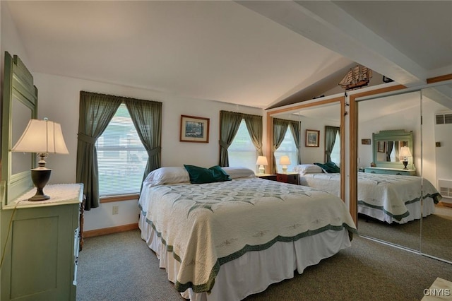 21157 Home St, Alexandria, NY 13607 - bedroom with light colored carpet, lofted ceiling, and two closets