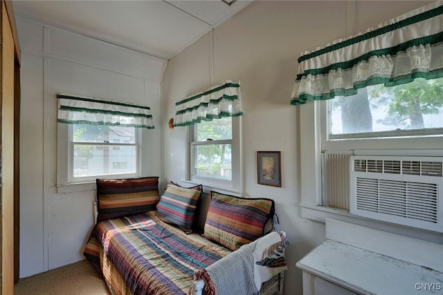 21157 Home St, Alexandria, NY 13607 - bedroom with multiple windows and lofted ceiling