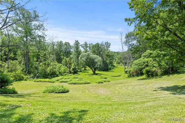 10400 Springville Boston Rd, Concord, NY 14141 - view of grassy yard