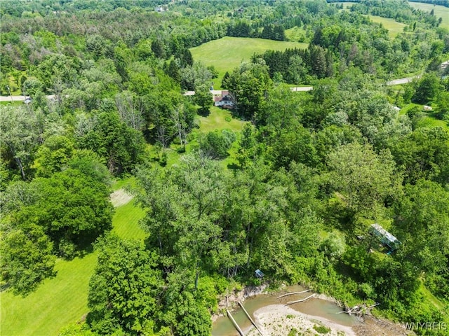 10400 Springville Boston Rd, Concord, NY 14141 - drone / aerial view of a forest