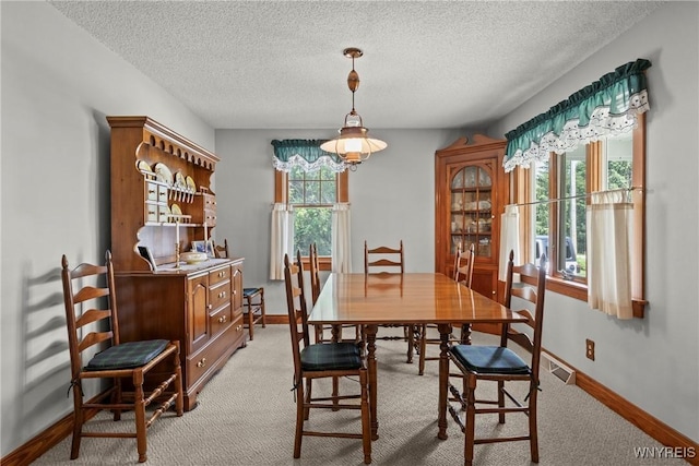 10400 Springville Boston Rd, Concord, NY 14141 - dining area featuring light carpet and a textured ceiling