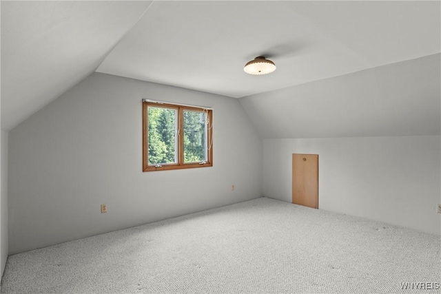 10400 Springville Boston Rd, Concord, NY 14141 - bonus room with vaulted ceiling and carpet