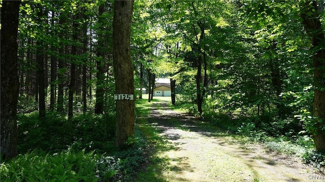 7125 County Route 17, Boylston, NY 13083 - photo 2