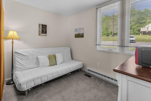 90 Pines Dr Unit 4-1, Roxbury, NY 12474 - photo 29