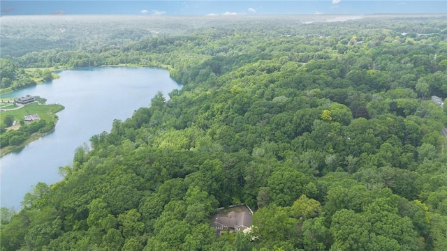 285 Panorama, Penfield, NY 14625 - bird's eye view of a forest and a nearby body of water