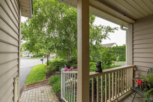 5810 Nobleton Cir, Onondaga, NY 13078 - view of covered porch