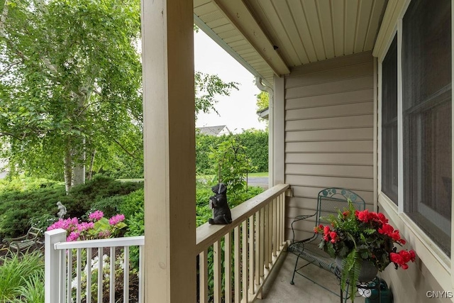 5810 Nobleton Cir, Onondaga, NY 13078 - view of balcony